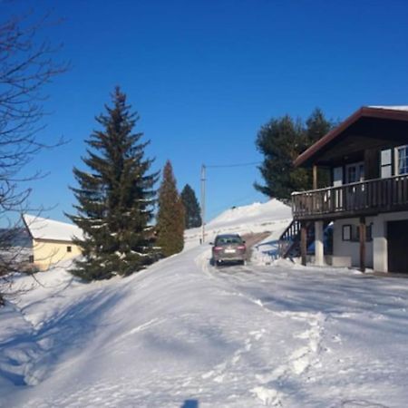 Le P'Tit Caribou, Pres Des Pistes Villa Gérardmer Dış mekan fotoğraf